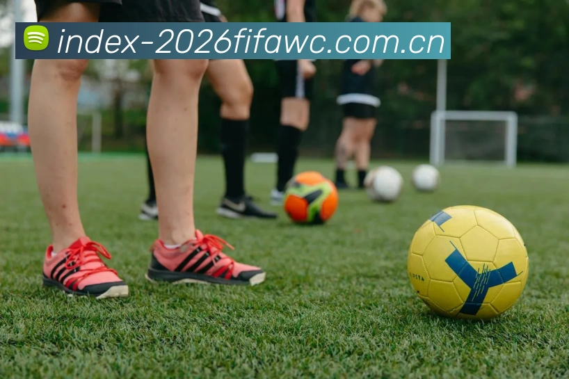 2026世界杯官方数据服务