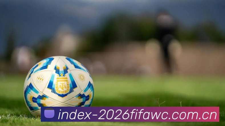 2026世界杯官方数据应用界面